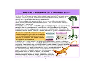 24
........ainda no Carbonífero: 354 a 290 milhões de anos
durante o Carbonífero e foi seguido rapidamente pelo diapsids que se
dividiu em dois grupos: os répteis, os lagartos, e as serpentes
marinhas contra os archosaurs - crocodilos, dinossauros e pássaros.
Os synapsids fizeram também seu primeiro aparecimento assim como
os anapsids, embora os fósseis mais antigos desse grupo sejam do Permiano inferior.
No Carbonífero as florestas tornaram-se comuns e se espalharam pela Terra. As plantas sem
sementes, tais como lycopsids, eram extremamente importantes e a fonte preliminar do
carbono para o carvão que é característico deste período.
Os níveis dos mares em todo o mundo flutuou por causa da presença de duas grandes placas
de gelo no pólo sul que rebaixaram os níveis da costa, conduzindo à extinção maciça dos
invertebrados marinhos de águas rasas e ao aumento no habitat terrestre. Estes efeitos são
invertidos quando as geleiras começam a derreter, liberando as águas que tinham armazenado.
Os primeiros caracóis da Terra apareceram, e os
insetos com asas que não podem se arquear para
trás, como as libélulas. Estes insetos, como as
milípedes, os escorpiões, e as aranhas tornaram-
se importantes no ecossistema.
A tendência para a aridez do clima e um aumento no habitat terrestre, conduz à importância
crescente do ovo amniótico para a reprodução. O fóssil mais evoluído do amniote era o lagarto-
Hylonomus, que se desenvolveu com os maxilares profundos, fortes e os membros delgados.
Os tetrápodas diversificaram-se durante o Carbonífero. Alguns peixes foram substituídos por
predadores grandes com caudas longas, membros curtos e as cabeças achatadas
tais como temnospondyls - Amphibiamus. O tetrápoda Anthracosaurus apareceu
Os moluscos de água doce apareceram, junto com um aumento dos gastrópodes e dos
peixes ósseos. O movimento dos continentes diminuiu a área da costa e assim, o espaço
disponível para a vida marinha.
lycopsids
milípedes
hylonomus
amphibiamus
 