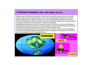25
A distinção entre o Paleozóico e o Mesozóico é feita no fim do Permiano, quando houve uma extinção
maciça, a maior gravada na história da vida na Terra.Afetou muitos grupos de organismos em muitos
ambientes diferentes, mas afetou principalmente as comunidades marinhas, causando a extinção da
maioria dos invertebrados marinhos no período. Em terra, uma extinção relativamente menor dos diapsids
e synapsids conduziram ao que foi chamado a “Idade dos Dinossauros”.
A geografia global permiana incluía terra e água. No começo do Permiano, o movimento das placas da
crosta da Terra juntou tudo, fundindo em um supercontinente chamado de Pangea. Muitos dos continentes
de hoje faziam parte do Pangea, somente a Ásia era separada naquele tempo.
A maior parte da superfície da Terra era ocupada por um único oceano, conhecido como Panthalassa e
um mar menor ao leste do Pangea chamado Mar de Tethys. As regiões interiores deste vasto continente
estavam provavelmente secas e a glaciação diminuiu.
O Período Permiano: 290 a 248 milhões de anos
PANGEA
diapsids
sinapsids
 