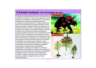 29
O Cretáceo é citado geralmente como o último período da
“idade dos dinossauros”, mas isto não significa que novas
espécies de dinossauros não apareceram. Foi durante o
Cretáceo que surgiram os primeiros dinossauros
ceratopsian e pachycepalosaurid. Também durante este
tempo, são encontrados os primeiros fósseis de muitos
grupos de insetos, mamíferos modernos, pássaros, e as
primeiras plantas com flores. A separação do continente
Pangea, que começou a se dispersar durante o Jurássico,
continuou. Isto conduziu ao aumento nas diferenças
regionais das floras e faunas entre os continentes do norte
e do sul. O fim do Cretáceo trouxe a extinção de muitos
grupos antes bem sucedidos e diversos organismos, tais
como os dinossauros e amonites, e por outro lado, grupos
de organismos não tão expressivos ficaram dominantes.
O Período Cretáceo: 144 a 65 milhões de anos
ceratopsian
samambaias
A passagem do Jurássico para o Cretáceo, não foi
marcada por nenhuma grande extinção ou evolução das
diversidades de organismos. Dinossauros grandes e
pequenos se moviam através das florestas de
samambaias, cycadáceas e coníferas. Os amonites,
belemnites, outros moluscos e peixes, eram caçados por
répteis marinhos grandes e por pterosaurus. Os pássaros
se agitavam no céu. Contudo, no encerramento do
Cretáceo, surgiram as primeiras das muitas formas
de vida que seriam os papéis chaves no mundo
da Era Cenozóica.
 