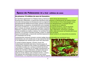 Os primeiros 10 milhões de anos do Cenozóico.
Os mamíferos apareceram no Triássico mais ou menos ao mesmo tempo dos dinossauros.
Durante todo o Mesozóico, a maioria dos mamíferos eram pequenos, se alimentavam de insetos e tinham
uma vida noturna porque os dinossauros eram os organismos dominantes na Terra. Esta situação mudou
abruptamente 65 milhões de anos atrás, quando os dinossauros desapareceram, à exceção de seus
descendentes, os pássaros, provavelmente como resultado do impacto de um meteorito.
No começo do Paleoceno, o mundo não tinha praticamente grandes animais terrestres, o que foi importante
para o sucesso da evolução dos grandes mamíferos. Somente dez milhões de anos mais tarde, no fim do
Paleoceno, ocuparam uma grande parte dos nichos ecológicos vagos. Nesta época, dominavam a paisagem,
animais comedores de insetos e roedores. Os mamíferos de tamanho médio procuravam as florestas para buscar
alimentos, e os primeiros mamíferos grandes, surgiam na vegetação abundante.
Apesar da diversificação, a maioria dos mamíferos paleocenos estavam ainda em um nível primitivo da anatomia
em comparação aos de hoje.
Época do Paleoceno: 65 a 54,8 milhões de anos
32
O começo da época seguinte, o Eoceno, trouxe uma
modernização importante desta fauna. Diversos grupos de
mamíferos com aparência mais moderna se espalharam sobre
o hemisfério do norte com o começo do declínio das formas
mais arcáicas. O Paleoceno foi um estágio importantíssimo na
história dos mamíferos. Infelizmente, os fósseis desta época
são escassos ou inteiramente desconhecidos em muitas
partes do mundo. Mesmo onde os fósseis ocorrem, a maioria
das espécies são identificadas somente por seus dentes
característicos, e os esqueletos somente para algumas espécies.
Freqüentemente mostravam somente o primeiro estágio das especializações que caracterizam seus
descendentes, tais como dentes para um tipo especial de alimento
ou as adaptações dos membros para correr mais velozmente.
 