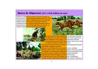 Época do Oligoceno: 33,7 a 23,8 milhões de anos
34
A Época do Oligoceno é parte do Período Terciário na
Era Cenozóica, e durou de aproximadamente 33,7 a 23,8
milhões de anos atrás. O Oligoceno teve uma extensão
relativamente curta, embora um grande número de
mudanças tenham ocorrido durante este tempo como o
aparecimento dos primeiros elefantes com presas, os
cavalos modernos, e o surgimento de gramíneas.
Devido à tendência de resfriamento durante todo o período
do Oligoceno, as vidas e os habitats de muitos organismos
foram afetados. Nos oceanos, os organismos marinhos
concentraram-se mais à linha do equador, mais morno, onde
as espécies poderiam melhor sobreviver.
A tendência de resfriamento foi também responsável pela reduzida
diversidade no plâncton marinho.
Na terra, os mamíferos tais como cavalos, cervos, camelos,
elefantes, gatos, cães, e os primatas começaram a dominar, exceto
naAustrália.A continuação da migração da fauna de mamíferos por
terra entre a Ásia e a América do Norte foi responsável pela
dispersão de diversas linhagens nos continentes novos.
Os raptores diurnos, tais como falcões, águias, e famílias de
roedores também apareceram primeiramente durante o Oligoceno.
 
