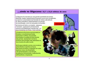 A América do Sul tornou-se dominada por
florestas, e os primeiros primatas
apareceram na África. Os primatas
encontrados no sudeste da Ásia durante
este período, representam membros
primitivos dos primatas mais adiantados do
novo mundo e do velho mundo.
Na Europa ocidental, ocorreu uma mudança
extraordinária e repentina na fauna.
Este evento envolveu a imigração de muitas
espécies novas, de artiodactylos
e de perissodactylos, e da extinção
dos gêneros rhinocerotoids, chalicotheriids,
anthracotheres, e tayassuids.
....ainda no Oligoceno: 33,7 a 23,8 milhões de anos
35
O Oligoceno foi marcado por uma grande quantidade de eventos
diferentes, desde o aparecimento de grupos novos como os elefantes,
ao declínio na diversidade das florestas de média a alta latitude.
Os “Micro-mamíferos” experimentaram um período
de diversificação, como os marsupiais na Austrália.
marsupiais
Na América do Norte, os cricetids - ratazanas
e hamsters - apareceram primeiramente
quando as dicotiledôneas mesotermais - um
grupo de plantas com flores - foram extintas.
 