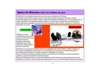 O Mioceno foi um período de clima mais morno do que no Oligoceno ou Plioceno.
É particularmente notável o aparecimento de dois ecossistemas principais de florestas e campos.
Os padrões globais de circulação mudaram, isolando a Antártida e estabelecendo uma circulação polar do
oceano permitindo a formação das calotas polares. Do mesmo modo, a placa africana-arábica juntou
a Ásia, fechando a passagem do oceano que tinha separado a África da Ásia, trazendo um número de
migrações de animais.
No Mioceno se expandiram sistemas abertos de vegetação, tais como desertos, tundras, e pastos e a
diminuição da vegetação mais fechada, como as florestas. Isto conduziu a uma rediversificação de
ecossistemas temperados e de muitas mudanças morfológicas nos animais.
Novos mamíferos e pássaros se desenvolveram, como herbívoros, mamíferos e pássaros predadores
grandes, ou pequenos pássaros e roedores velozes.
Além das mudanças em terra, os novos ecossistemas marinhos levaram ao desenvolvimento de novos
organismos.As lontras marinhas apareceram pela primeira vez, e os mamíferos Desmostylia foram extintos.
Época do Mioceno: 23,8 a 5,3 milhões de anos
36
lontra marinha
Desmostylia
O Mioceno é mais
semelhante aos dias atuais
do que a maioria dos outros
períodos do tempo
geológico. Muitas das
espécies fósseis deste
tempo têm representantes
próximos vivos hoje.
 