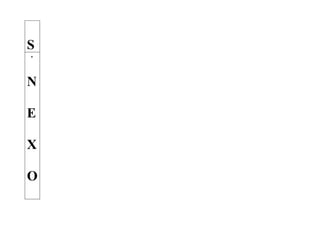 S
A
N

E

X

O
 