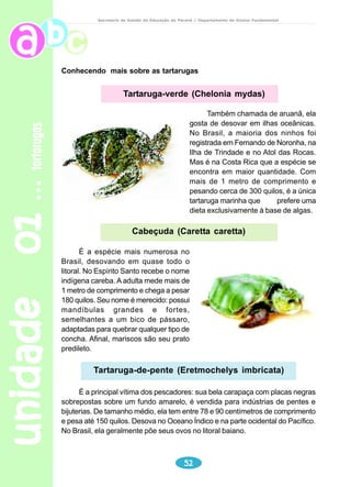 unidade 01 tartarugas 
Secretaria de Estado da Educação do Paraná / Departamento de Ensino Fundamental 
Dela (de+ela) - se refere a ................................................. 
Nós - se refere a ............................................................... 
Ela - se refere a ............................................................... 
“A mãe lhe prometeu um carrinho, um velocípede, lhe prometeu uma surra, mas 
o pobre menino parecia estar mesmo profundamente abalado com a morte do 
seu animalzinho de estimação.” 
Consultando o quadro abaixo, reescreva o período acima, substituindo 
os pronomes oblíquos e explicitando o pronome possessivo. 
A mãe prometeu.......... 
Pronomes 
Pessoal 
eo 
Pessoal
l	o
 