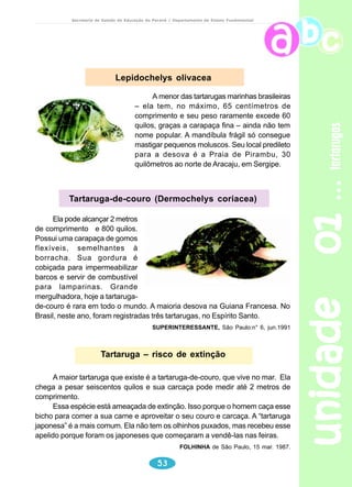 Possessoeosao 
Eu 
 u 
EE	
 
 