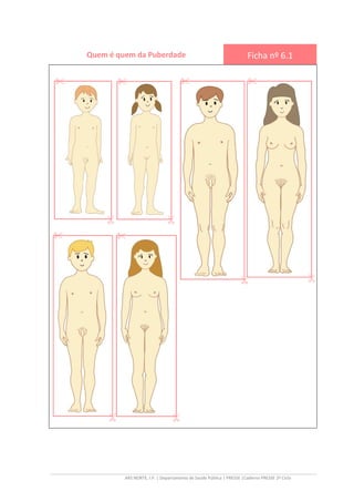 ARS NORTE, I.P. | Departamento de Saúde Pública | PRESSE |Caderno PRESSE 2º Ciclo
Quem é quem da Puberdade Ficha nº 6.1
 