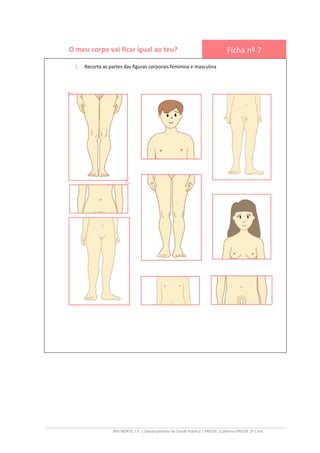 ARS NORTE, I.P. | Departamento de Saúde Pública | PRESSE |Caderno PRESSE 2º Ciclo
O meu corpo vai ficar igual ao teu? Ficha nº 7
1. Recorta as partes das figuras corporais feminina e masculina
 