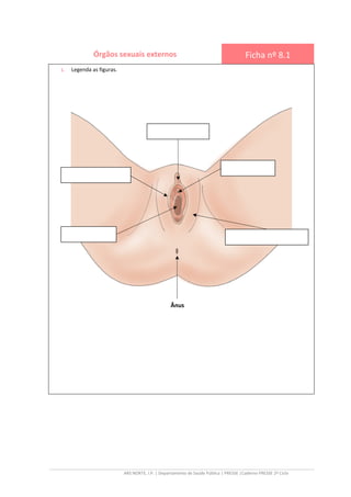 ARS NORTE, I.P.
Órgãos sexuais externos
1. Legenda as figuras.
ARS NORTE, I.P. | Departamento de Saúde Pública | PRESSE |Caderno PRESSE 2º Ciclo
Órgãos sexuais externos Ficha
Ânus
Caderno PRESSE 2º Ciclo
Ficha nº 8.1
 