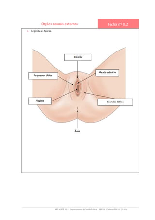 ARS NORTE, I.P. | Departamento de Saúde Pública | PRESSE |Caderno PRESSE 2º Ciclo
Órgãos sexuais externos Ficha nº 8.2
1. Legenda as figuras.
 