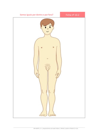 ARS NORTE, I.P. | Departamento de Saúde Pública | PRESSE |Caderno PRESSE 2º Ciclo
Somos iguais por dentro e por fora? Ficha nº 10.2
 