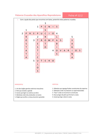 ARS NORTE, I.P. | Departamento de Saúde Pública | PRESSE |Caderno PRESSE 2º Ciclo
Palavras Cruzadas dos Aparelhos Reprodutores Ficha nº 12.2
3
1 P E N I S
1 S
2 P R E P U C I O 4
R 2 R L 5
O 3 T R O M P A S V
S E T B A
T S O I G
A T 4 O V A R I O S
T I S N
A C A
5 U T E R O
L
O
S
1. Com a ajuda das pistas que encontras em baixo, preenche estas palavras cruzadas.
VERTICAL
1. Glândula que segrega fluidos constituintes do esperma
2. Glândulas onde se produzem os espermatozóides
3. “Saco” onde se encontram os testículos
4. Duas pregas de pele que formam a vulva
5. Canal que liga o útero à vulva
HORIZONTAL
1. Um dos órgãos genitais externos masculinos
2. Pele que envolve a glande
3. Canais que ligam os ovários ao útero
4. Glândulas onde são produzidos os óvulos
5. Órgão que acolhe a criança durante a gravidez
 