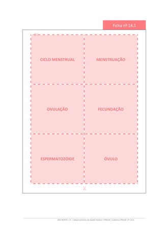 ARS NORTE, I.P. | Departamento de Saúde Pública | PRESSE |Caderno PRESSE 2º Ciclo
Ficha nº 14.1
CICLO MENSTRUAL MENSTRUAÇÃO
OVULAÇÃO FECUNDAÇÃO
ESPERMATOZÓIDE ÓVULO
 
