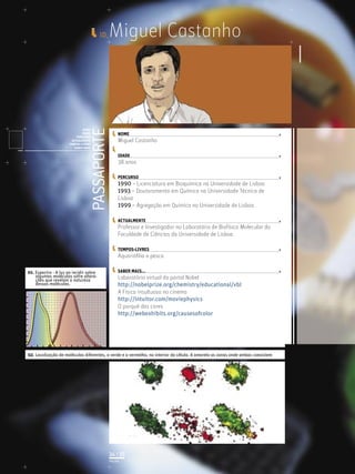 ID_    Miguel Castanho


                                                                    PASSAPORTE
                                            NOME
                                            IDADE                                     NOME
                                        PERCURSO
                                     ACTUALMENTE                                      Miguel Castanho
                                    TEMPOS-LIVRES
                                       SABER MAIS
              Licenciatura em Biologia-Recursos Faunísticos e Ambiente,
              Faculdade de Ciências da Universidade de Lisboa, Mestrado
              em Matemática Aplicada às Ciências Biológicas pelo                      IDADE
              Instituto Superior de Agronomia da Universidade Técnica
              de Lisboa Doutoramento em Biologia da Conservação pela
              Universidade de Sheﬃeld, Reino Unido.
                                                                                      38 anos

                                                                                      PERCURSO
                                                                                      1990 – Licenciatura em Bioquímica na Universidade de Lisboa
                                                                                      1993 – Doutoramento em Química na Universidade Técnica de
                                                                                      Lisboa
                                                                                      1999 – Agregação em Química na Universidade de Lisboa

                                                                                      ACTUALMENTE
                                                                                      Professor e Investigador no Laboratório de Biofísica Molecular da
                                                                                      Faculdade de Ciências da Universidade de Lisboa

                                                                                      TEMPOS-LIVRES
                                                                                      Aquarióﬁlia e pesca

01. Espectro - A luz ao incidir sobre                                                 SABER MAIS...
    algumas moléculas sofre altera-                                                   Laboratório virtual do portal Nobel
    ções que revelam a natureza
    dessas moléculas.                                                                 http://nobelprize.org/chemistry/educational/vbl
                                                                                      A Física insultuosa no cinema
                                                                                      http://intuitor.com/moviephysics
                                                                                      O porquê das cores
                                                                                      http://webexhibits.org/causesofcolor




02. Localização de moléculas diferentes, a verde e a vermelho, no interior da célula. A amarelo as zonas onde ambas coexistem




                                                                                 34 | 35
                                                                                 PÁGINA
 