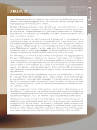 PROJECTO
Licenciatura em Biologia-Recursos Faunísticos e Ambiente,
Faculdade de Ciências da Universidade de Lisboa, Mestrado
em Matemática Aplicada às Ciências Biológicas pelo
Instituto Superior de Agronomia da Universidade Técnica
de Lisboa Doutoramento em Biologia da Conservação pela
Universidade de Sheﬃeld, Reino Unido.
O RELÓGIO
Isabel Palmeirim estudou Medicina, mas sempre com a ideia de ser cientista. Mal sabia que iria passar
horas a ﬁo a olhar para um ovo de galinha. Valeu a pena: a descoberta que fez é um dos grandes marcos
da biologia do desenvolvimento dos últimos 100 anos.
A biologia do desenvolvimento estuda a nossa própria formação – como nos transformamos nos seres
vivos complexos que somos, com cabeça, tronco e membros. Se pensarmos como tudo começa, temos
que reconhecer que a nossa existência tem uma origem modesta. Uma célula apenas é suﬁciente para
desencadear uma série de eventos, cujo resultado ﬁnal somos nós! É um feito notável e como seria de
antever, extremamente complexo.
Com o objectivo de aprender mais sobre o nosso próprio desenvolvimento, os cientistas baseiam-se no
estudo de outros animais, que partilham processos embrionários com os seres humanos. Ao contrário
do que se poderia imaginar, há muito por onde escolher. Podemos contar com as galinhas, os ratos, as
moscas, os sapos e até os peixes-zebra que se começam a desenvolver de uma forma muito semelhante
à nossa. À Isabel, couberam horas a ﬁo a espreitar à lupa o desenvolvimento dos embriões de pintainho,
analisando em particular, o papel do gene c-hairy1 – inicialmente isolado por um outro investigador
português – numa fase crucial do desenvolvimento embrionário, a formação dos sómitos.
Após a fecundação, o ovo entra num processo frenético de divisão celular e no espaço de alguns dias
dá origem a milhões de pequenas células, que após migrações, reorganizações e outras “rebaldarias”,
começam a dar forma ao futuro pintainho. A certa altura surgem, ao longo da futura coluna vertebral, os
sómitos – uns importantíssimos aglomerados de células que estão na origem dos músculos, das vérte-
bras e das costelas. A periodicidade com que os sómitos se vão formando é um processo estritamente
regulado e dele depende o sucesso dos passos seguintes do desenvolvimento. Mas, até ao estudo da
Isabel, não existiam quaisquer dados experimentais sobre os possíveis mecanismos envolvidos nessa
regulação temporal.
Isabel demonstrou, durante o seu doutoramento em França, que cada célula envolvida na composição
dos sómitos, está desde cedo instruída sobre quando é a altura certa para o fazer. O número de vezes
que uma célula inicia e termina a leitura do gene c-hairy1 (1 ciclo), ajuda-a a determinar a sua maturi-
dade e assim, o momento de iniciar a formação de um sómito. Este processo funciona como um relógio
interno, com a célula temporizada a passar por um número determinado de ciclos, antes de ﬁcar apta a
fazer parte de um sómito.
Cada célula passa por estes ciclos de forma orquestrada com as restantes células envolvidas na for-
mação do sómito. O espantoso é que cada uma delas o faz de um modo completamente independente.
Como se fossemos capazes de fazer uma “onda” num estádio de futebol de olhos vendados, porque cada
pessoa tinha um relógio que a avisaria dos momentos exactos em que se tinha de levantar e sentar.
Este estudo pioneiro revelou um novo mecanismo de regulação e, como é normal em ciência, uma res-
posta levanta sempre novas questões. Agora a Isabel interessa-se por compreender o papel especíﬁco
deste gene no relógio. Que sinal acciona o comportamento cíclico? Qual é o seu efeito em termos quími-
cos? Repartindo o seu tempo entre o ensino e a investigação na Universidade do Minho, Isabel está cada
dia mais perto destas respostas. Compreender os mistérios do desenvolvimento embrionário, poderá
também ajudar-nos a compreender a origem das malformações pré-natais e, no futuro, corrigi-las.
PROJECTOS //////////////////
 