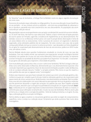 PROJECTO
Licenciatura em Biologia-Recursos Faunísticos e Ambiente,
Faculdade de Ciências da Universidade de Lisboa, Mestrado
em Matemática Aplicada às Ciências Biológicas pelo
Instituto Superior de Agronomia da Universidade Técnica
de Lisboa Doutoramento em Biologia da Conservação pela
Universidade de Sheﬃeld, Reino Unido.
GENES E ASAS DE BORBOLETA
PROJECTOS //////////////////
Ao “desenhar” asas de borboletas, a bióloga Patrícia Beldade revela-nos alguns segredos da evolução
dos seres vivos.
O processo de evolução requer alterações no código genético. Se uma nova alteração trouxer benefícios
ao seu portador – no seu contexto social ou ambiental – este terá mais probabilidade de sobreviver e
de se reproduzir, passando esta nova característica aos seus descendentes. As populações vão assim
evoluindo por selecção natural.
Nas populações naturais existe geralmente uma variação considerável de características entre indivídu-
os. Se assim não fosse, não haveria o que seleccionar. Todavia, o tipo e número de variações passíveis
de ocorrer parece ser limitado, sugerindo a existência de impedimentos ao seu desenvolvimento. Por
exemplo, nunca se viu na Natureza nenhum porco com asas! O porquê destas observações é tema de
um aceso debate entre os evolucionistas. Como o processo de construir um organismo é altamente
organizado, certas alterações poderão não ser exequíveis. Tal como construir uma casa: não se pode
começar pelo telhado, tem que se construir os alicerces primeiro – que não podem ser feitos de gelatina!
Se um gene for responsável pelo desenvolvimento de mais de uma estrutura, poderá ser difícil mudar
uma, sem alterar a outra.
Patrícia Beldade aborda estas questões fundamentais estudando os círculos de cores nas asas das
borboletas. Com este modelo animal, que apresenta uma espectacular variação morfológica (existem
borboletas com padrões de círculos nas asas muito diferentes), Patrícia tentou perceber se realmente
existiam limitações na variedade de desenhos que podem ﬁcar disponíveis “no mercado”, e exactamen-
te que genes são alterados para originarem a diversidade de padrões.
Com muita dedicação, passou dias e dias a cruzar e seleccionar borboletas. No ﬁnal conseguiu obter pa-
drões nunca antes observados na Natureza, demonstrando que o seu desenvolvimento é possível. Uma
conclusão importante que argumenta a favor de não existirem limitações ao poder criador da Natureza,
e de ser a própria selecção natural a “moldar” a variação existente. Pelo menos no que diz respeito a
estes padrões das asas que se julgavam antes “constrangidos”.
Embora seja inequívoco que para haver evolução tem sempre que existir uma alteração genética, des-
conhece-se quase por completo quais (e de que modo) as alterações genéticas são responsáveis pelo
aparecimento de certas características. Ainda durante o seu doutoramento na Holanda, Patrícia estabe-
leceu uma série de colaborações com outros laboratórios para aprender técnicas de genética molecular
que lhe permitiram desvendar a origem das variações nos padrões das asas. Num trabalho aclamado
pelos seus pares, descobriu que a variação na quantidade de activação de um só gene (chamado Distal-
less), conhecido por ter um papel importante no desenvolvimento embrionário de todos os insectos, é
suﬁciente para causar alterações no tamanho dos círculos nas asas das borboletas. Mostrou assim, pela
primeira vez, a relação entre a variação dos padrões - fonte da mudança evolutiva, e um gene. Ou seja,
ligou a alteração genética à variação morfológica.
Patrícia dedica-se agora a explorar os mecanismos genéticos que estão na origem de comportamentos
especíﬁcos, como o cortejo ou a selecção sexual. Certamente que ainda ouviremos falar muito desta
investigadora.
 