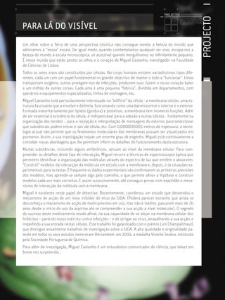 Um olhar sobre a Terra de uma perspectiva cósmica não consegue revelar a beleza do mundo que
admiramos à “nossa” escala. De igual modo, quando comtemplamos qualquer ser vivo, escapa-nos a
beleza do mundo à escala microscópica, só acessível quando mergulhamos no inﬁnitamente pequeno.
É nesse mundo que estão postos os olhos e o coração de Miguel Castanho, investigador na Faculdade
de Ciências de Lisboa.
Todos os seres vivos são constituídos por células. No corpo humano existem variadíssimos tipos dife-
rentes, cada um com um papel fundamental no grande objectivo de manter o todo a “funcionar”. Umas
transportam oxigénio, outras protegem-nos de infecções, produzem suor, fazem o nosso coração bater
e um milhão de outras coisas. Cada uma é uma pequena “fábrica”, dividida em departamentos, com
operários e equipamentos especializados, linhas de montagem, etc.
Miguel Castanho está particularmente interessado no ”edifício” da célula - a membrana celular, uma es-
trutura fascinante que a envolve e delimita, funcionando como uma barreira entre o interior e o exterior.
Formada maioritariamente por lípidos (gordura) e proteínas, a membrana tem inúmeras funções. Além
de ser essencial à existência da célula, é indispensável para a adesão a outras células - fundamental na
organização dos tecidos -, para a recepção e interpretação de mensagens do exterior, para seleccionar
que substâncias podem entrar e sair da célula, etc. Com 0,000000005 metros de espessura, a tecno-
logia actual não permite que os fenómenos moleculares das membranas possam ser visualizados em
pormenor. Assim, a sua investigação requer um enorme grau de engenho. Miguel está continuamente a
conceber novas abordagens que lhe permitam inferir os detalhes do funcionamento desta estrutura.
Muitas substâncias, incluíndo alguns antibióticos, actuam ao nível da membrana celular. Para com-
preender os detalhes deste tipo de interacção, Miguel recorre a técnicas de espectroscopia óptica que
permitem identiﬁcar a organização das moléculas através do espectro de luz que emitem e absorvem.
“Constrói” modelos da interacção da molécula em estudo com a membrana e, depois, cria situações ex-
perimentais para os testar. É frequente os dados experimentais não conﬁrmarem as primeiras previsões
dos modelos, mas aprende-se sempre algo pelo caminho, o que permite aﬁnar a hipótese e construir
modelos cada vez mais correctos. E assim sucessivamente, até conseguir prever com exactidão o meca-
nismo de interacção da molécula com a membrana.
Miguel é excelente neste papel de detective. Recentemente, coordenou um estudo que desvendou o
mecanismo de acção de um novo inibidor do vírus da SIDA. (Poderá parecer estranho que ainda se
desconheça o mecanismo de acção de medicamentos em uso, mas não é inédito: passaram mais de 70
anos desde o início do uso da aspirina até se compreender a sua acção a nível molecular). O segredo
do sucesso deste medicamento reside aﬁnal, na sua capacidade de se alojar na membrana celular dos
linfócitos – parte do nosso exército contra infecções – e de se ligar ao vírus, atrapalhando a sua acção, e
impedindo a sua entrada nestas células. Este trabalho foi galardoado com o prémio Luís Champalimaud,
que distingue anualmente trabalhos de investigação sobre a SIDA. A alta qualidade e originalidade pa-
tente em todos os seus estudos mereceram-lhe também, em 2004, a medalha Vicente Seabra, instituída
pela Sociedade Portuguesa de Química.
Para além da investigação, Miguel Castanho é um entusiástico comunicador de ciência, que talvez em
breve nos surpreenda...
PROJECTO
Licenciatura em Biologia-Recursos Faunísticos e Ambiente,
Faculdade de Ciências da Universidade de Lisboa, Mestrado
em Matemática Aplicada às Ciências Biológicas pelo
Instituto Superior de Agronomia da Universidade Técnica
de Lisboa Doutoramento em Biologia da Conservação pela
Universidade de Sheﬃeld, Reino Unido.
PARA LÁ DO VISÍVEL
PROJECTOS //////////////////
 