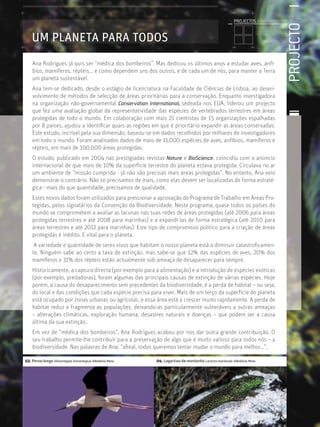 PROJECTO
Licenciatura em Biologia-Recursos Faunísticos e Ambiente,
Faculdade de Ciências da Universidade de Lisboa, Mestrado
em Matemática Aplicada às Ciências Biológicas pelo
Instituto Superior de Agronomia da Universidade Técnica
de Lisboa Doutoramento em Biologia da Conservação pela
Universidade de Sheﬃeld, Reino Unido.
PROJECTOS //////////////////
UM PLANETA PARA TODOS
03. Perna-longa Himantopos himantopus ©António Pena 04. Lagartixa-de-montanha Lacerta monticola ©António Pena
Ana Rodrigues já quis ser “médica dos bombeiros”. Mas dedicou os últimos anos a estudar aves, anfí-
bios, mamíferos, répteis... e como dependem uns dos outros, e de cada um de nós, para manter a Terra
um planeta sustentável.
Ana tem-se dedicado, desde o estágio de licenciatura na Faculdade de Ciências de Lisboa, ao desen-
volvimento de métodos de selecção de áreas prioritárias para a conservação. Enquanto investigadora
na organização não-governamental Conservation International, sedeada nos EUA, liderou um projecto
que fez uma avaliação global da representatividade das espécies de vertebrados terrestres em áreas
protegidas de todo o mundo. Em colaboração com mais 21 cientistas de 15 organizações espalhadas
por 8 países, ajudou a identiﬁcar quais as regiões em que é prioritário expandir as áreas conservadas.
Este estudo, incrível pela sua dimensão, baseou-se em dados recolhidos por milhares de investigadores
em todo o mundo. Foram analisados dados de mais de 11,000 espécies de aves, anfíbios, mamíferos e
répteis, em mais de 100,000 áreas protegidas.
O estudo, publicado em 2004 nas prestigiadas revistas Nature e BioScience, coincidiu com o anúncio
internacional de que mais de 10% da superfície terrestre do planeta estava protegida. Circulava no ar
um ambiente de “missão cumprida - já não são precisas mais áreas protegidas”. No entanto, Ana veio
demonstrar o contrário. Não só precisamos de mais, como elas devem ser localizadas de forma estraté-
gica - mais do que quantidade, precisamos de qualidade.
Estes novos dados foram utilizados para pressionar a aprovação do Programa de Trabalho em Áreas Pro-
tegidas, pelos signatários da Convenção da Biodiversidade. Neste programa, quase todos os países do
mundo se comprometem a avaliar as lacunas nas suas redes de áreas protegidas (até 2006 para áreas
protegidas terrestres e até 2008 para marinhas) e a expandi-las de forma estratégica (até 2010 para
áreas terrestres e até 2012 para marinhas). Este tipo de compromisso político para a criação de áreas
protegidas é inédito. E vital para o planeta.
A variedade e quantidade de seres vivos que habitam o nosso planeta está a diminuir catastroﬁcamen-
te. Ninguém sabe ao certo a taxa de extinção, mas sabe-se que 12% das espécies de aves, 20% dos
mamíferos e 31% dos répteis estão actualmente sob ameaça de desaparecer para sempre.
Historicamente, a captura directa (por exemplo para a alimentação) e a introdução de espécies exóticas
(por exemplo, predadoras), foram algumas das principais causas de extinção de várias espécies. Hoje
porém, a causa do desaparecimento sem precedentes da biodiversidade, é a perda de habitat – ou seja,
do local e das condições que cada espécie precisa para viver. Mais de um terço da superfície do planeta
está ocupado por zonas urbanas ou agrícolas, e essa área está a crescer muito rapidamente. A perda de
habitat reduz e fragmenta as populações, deixando-as particularmente vulneráveis a outras ameaças
– alterações climáticas, exploração humana, desastres naturais e doenças – que podem ser a causa
última da sua extinção.
Em vez de “médica dos bombeiros”, Ana Rodrigues acabou por nos dar outra grande contribuição. O
seu trabalho permite-lhe contribuir para a preservação de algo que é muito valioso para todos nós – a
biodiversidade. Nas palavras de Ana, “aﬁnal, todos queremos tentar mudar o mundo para melhor...”.
 