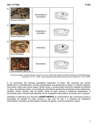 SSA - 2ª FASE 2º DIA
7
b)
Surucucu (Lachesis)
Hemorrágico e
neurotóxico
c)
Jararaca (Bothrops)
Proteolítico e
hemolítico
d)
Sucuri (Eunectes)
Hemolítico
e)
Coral-verdadeira (Micrurus)
Neurotóxico
Fonte das imagens: Imagens Google (acesso em: 20 out. 2020) https://blogdonurof.files.wordpress.com/2010/09/prot.jpg
(acesso em: 07 nov., 2020) https://publicacoeseducativas.butantan.gov.br/ (acesso em: 07 nov. 2020)
6. As verminoses são doenças parasitárias frequentes no Brasil. São causadas por vermes
platelmintos ou nematelmintos, animais endoparasitas, que geralmente se alojam no intestino delgado,
mas podem migrar para outros órgãos. Muitas vezes, a contaminação ocorre por ingestão de alimento
ou água. Os sintomas variam, e os portadores sintomáticos geralmente apresentam dores abdominais,
náuseas, vômito, diarreia, falta de apetite, perda de peso, anemia e problemas respiratórios. A
transmissão para o homem pode depender de um hospedeiro intermediário, de acordo com o parasita.
Identifique a alternativa que descreve CORRETAMENTE as características das verminoses quanto à
localização do parasita no corpo humano, o seu ciclo de vida e a presença de hospedeiro
intermediário. Considere as informações contidas nas figuras, conforme esquema a seguir:
 
