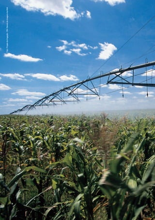 CADERNOS DE CAPACITAÇÃO EM RECURSOS HÍDRICOS – VOLUME 1
32
Foto:ProjetodeIrrigação-RN/BancodeimagensdaANA
 