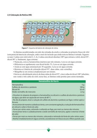 23
2.5 Coloração de Rotina (HE)
	 As lâminas acondicionadas em rede são retiradas da estufa e colocadas no primeiro frasco de xilol
(seta preta) da bateria de coloração, onde o meio de inclusão que ainda resta na lâmina é retirado. Seguem-
se mais 3 cubas com xilol (xilol 2, 3, 4), 2 cubas com álcool absoluto 100º (que retiram o xilol), álcool 95°,
álcool 80° e, finalmente, água corrente.
• Numa pia, cora-se hematoxilina (núcleos) por três minutos. Lava-se em água corrente.
• Diferencia-se rapidamente com álcool-ácido 1%. Lava-se em água corrente.
• Azula-se com água amoniacal por 30 segundos. Lava-se em água corrente.
• Retorna-se à bateria de coloração (álcool 95°, duas cubas, seta vermelha).
• Mergulha-se em eosina (citoplasma) por um minuto.
• Inicia-se a desidratação através de duas cubas de álcool 95°, cinco cubas de álcool 100° (absoluto,
seta verde) e três cubas de xilol; nessa fase, as lâminas estão prontas para serem montadas.
2 Técnicas Histológicas
• • • • • • • • • • • • • • • • • •
Hematoxilina
Sulfato de alumínio e potássio
Álcool 95
Óxido vermelho de mercúrio
• Dissolver às vésperas do preparo a hematoxilina no álcool e o sulfato de alumínio e potássio
na água, que deve ser aquecido em torno de 80° C.
• No dia do preparo, levar a solução de sulfato de alumínio e potássio ao fogo e retirar após a
fervura.
•Acrescentardemaneiracuidadosaelenta,comconstanteagitação,asoluçãodehematoxilina
em álcool e voltar à fonte de calor.
• Ferver por várias vezes, retirando e voltando ao fogo, por mais ou menos dez minutos.
• Acrescentar lenta e cuidadosamente o óxido vermelho de mercúrio, agitar e retornar à fonte
de calor. 		
• Ferver por mais ou menos dez minutos, colocando e retirando da fonte de calor várias vezes.
• Resfriar imediatamente em água corrente, acondicionar em frasco escuro e filtrar quando usar.
5 g
100 g
50 ml
2,5 g
Figura 7 - Esquema de bateria de coloração de rotina.
Hematoxilina de Harris
3.indd 23 11/08/12 20:30
 