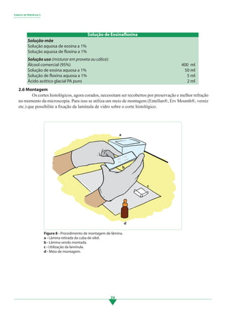Caderno de Referência 3
• • • • • • • • • • • • • • • • • • •
24
2.6 Montagem
	 Os cortes histológicos, agora corados, necessitam ser recobertos por preservação e melhor refração
no momento da microscopia. Para isso se utiliza um meio de montagem (Entellan®, Erv Mounth®, verniz
etc.) que possibilite a fixação da lamínula de vidro sobre o corte histológico.
Figura 8 - Procedimento de montagem de lâmina.
a - Lâmina retirada da cuba de xilol.
b - Lâmina sendo montada.
c - Utilização da lamínula.
d - Meio de montagem.
Solução-mãe
Solução aquosa de eosina a 1%
Solução aquosa de floxina a 1%
Solução uso (misturar em proveta ou cálice):
Álcool comercial (95%)
Solução de eosina aquosa a 1%
Solução de floxina aquosa a 1%
Ácido acético glacial PA puro
a
b
c
d
400 ml
50 ml
5 ml
2 ml
Solução de Eosinafloxina
3.indd 24 11/08/12 20:30
 