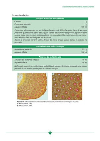 35
Preparo de soluções
Amarelo de metanilo - estoque
Amarelo de metanilo
Água destilada
0,25 g
100 ml
3 Colorações Histológicas Para Grânulos, Depósitos e Pigmentos
• • • • • • • • • • • • • • • • • • • • • • • • • • • • • • • • • • • • • • • • • • • • • • • • •
Figura 14 - Mucosa intestinal mostrando criptas com positividade carmim para mucinas.
a - Mucicarmim, 100x.
b - Mucicarmim, 200x.
b
a
Solução matriz de mucicarmim
Carmim
Cloreto de alumínio
Água destilada
1 g
1 g
100 ml
Colocar os três reagentes em um balão volumétrico de 500 ml e agitar bem. Acrescentar
pequenas quantidades (cerca de 0,5 g) de cloreto de alumínio aos poucos, agitando bem.
Levar o balão para o micro-ondas e colocar em potência média/máxima. Assim que come-
çar a levantar fervura, desligar o micro-ondas.
Repetir o processo por três vezes. Retirar do micro-ondas, deixar esfriar e guardar na
geladeira.
Amarelo de metanilo uso
Amarelo de metanilo estoque
Água destilada
10 ml
40 ml
Na hora do uso, retirar o volume que será utilizado sobre as lâminas e pingar de uma a duas
gotas de ácido acético glacial para acidificar a solução.
3.indd 35 11/08/12 20:30
 