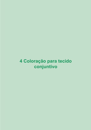 41
4 Coloração para tecido
conjuntivo
3.indd 41 11/08/12 20:30
 