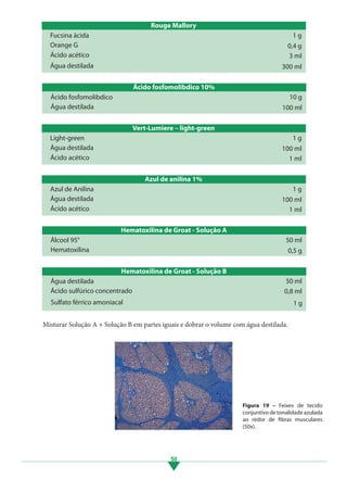 Rouge Mallory
Fucsina ácida
Orange G
Ácido acético
Água destilada
1 g
0,4 g
3 ml
300 ml
Ácido fosfomolibdico 10%
Ácido fosfomolibdico
Água destilada
10 g
100 ml
Vert-Lumiere – light-green
Light-green
Água destilada
Ácido acético
1 g
100 ml
1 ml
Azul de anilina 1%
Azul de Anilina
Água destilada
Ácido acético
1 g
100 ml
1 ml
50
Hematoxilina de Groat - Solução A
Álcool 95°
Hematoxilina
50 ml
0,5 g
Hematoxilina de Groat - Solução B
Água destilada
Ácido sulfúrico concentrado
50 ml
0,8 ml
Sulfato férrico amoniacal 1 g
	 Misturar Solução A + Solução B em partes iguais e dobrar o volume com água destilada.
Figura 19 – Feixes de tecido
conjuntivo de tonalidade azulada
ao redor de fibras musculares
(50x).
3.indd 50 11/08/12 20:30
 