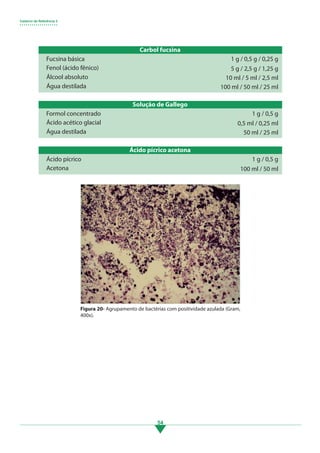 Caderno de Referência 3
• • • • • • • • • • • • • • • • • • •
54
Carbol fucsina
Solução de Gallego
Ácido pícrico acetona
Fucsina básica
Formol concentrado
Ácido pícrico
Fenol (ácido fênico)
Ácido acético glacial
Acetona
Álcool absoluto
Água destilada
Água destilada
1 g / 0,5 g / 0,25 g
1 g / 0,5 g
1 g / 0,5 g
5 g / 2,5 g / 1,25 g
0,5 ml / 0,25 ml
100 ml / 50 ml
10 ml / 5 ml / 2,5 ml
50 ml / 25 ml
100 ml / 50 ml / 25 ml
Figura 20- Agrupamento de bactérias com positividade azulada (Gram,
400x).
3.indd 54 11/08/12 20:30
 
