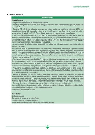 65
6.1 Fibras nervosas
Procedimento
• Desparafinar e hidratar as lâminas até a água.
• Pesar 5 g de AgNO3 e diluir em 25 ml de água destilada. Esta será nossa solução de prata 20%
- solução A.
• Separar 13 ml desta solução, aquecer no micro-ondas na potência mínima (20%) por
aproximadamente 48 segundos. Colocar o termômetro e verificar se a prata atingiu a
temperatura desejada de 56º C. Esta solução tem que ser preparada na hora do uso.
• Caso a temperatura esteja adequada, colocar a lâmina em tubete pequeno com esta solução
de prata em estufa 56º C, coberta por papel alumínio, por aproximadamente 5 minutos.
•Retirarotubetedaestufa56ºCepassarparaaestufa37ºCpordezminutos,semretiraropapel
alumínio. Enquanto isso, ir preparando a solução B.
• Lavar em água destilada morna (aquecida em tubete por 15 segundos em potência máxima
no micro-ondas).
• Os 12 ml de AgNO3 que restaram irão receber gotas de hidróxido de amônia. Logo na primeira
gota, a solução irá ficar pardacenta. A partir da segunda gota, iremos pingando amônia para
clarear a solução novamente (para este volume de prata, serão aproximadamente de 50 a 60
gotas). Essa prata deverá ser aquecida da mesma forma que a anterior antes de ser utilizada.
Esta será nossa solução B.
• Com a temperatura adequada (56º C), colocar a lâmina em tubete pequeno com esta solução
de prata em estufa 56º C, coberta por papel alumínio, por aproximadamente cinco minutos.
Retirar o tubete da estufa 56º C e passar para a estufa 37º C por dez minutos, sem retirar o papel
alumínio. Enquanto isso, ir preparando a solução reveladora, que será nossa solução C.
• Preparar a solução reveladora de trabalho e a solução uso adicionando-se oito gotas de
amônia concentrada e oito gotas da solução C a 50 ml de água destilada. Esta solução também
deve ser preparada na hora do uso.
• Retirar as lâminas da estufa, lavá-las em água destilada morna e colocá-las na solução
reveladora uso até que as fibras nervosas (axônios) fiquem de cor negra, quando observados
sobre um fundo amarelo. O tempo esperado para esta mudança pode estar entre um e cinco
minutos, dependendo da região a ser corada (geralmente o tempo é de um a dois minutos).
• Checar a lâmina ao microscópio para verificar se a impregnação está correta.
•Lavaralâminaemáguaamoniacalfresca(oitogotasdeamôniapara50mldeáguaDestilada).
• Lavar as lâminas em água destilada por um minuto.
• Desidratar, clarificar e montar.
Resultados
Axônios: negros.
Background: amarelo-acastanhado.
Placas neuríticas e tangles: negros.
Placas e amiloide vascular: castanhas/castanho-escuras.
6 Coloração Para Sistema Nervoso
• • • • • • • • • • • • • • • • • • • • • • • • • •
Bielschowsky
3.indd 65 11/08/12 20:30
 
