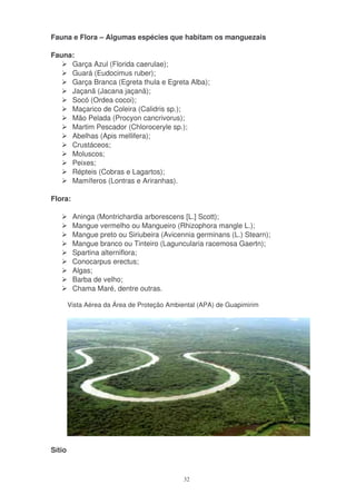Fauna e Flora – Algumas espécies que habitam os manguezais

Fauna:
     Garça Azul (Florida caerulae);
     Guará (Eudocimus ruber);
     Garça Branca (Egreta thula e Egreta Alba);
     Jaçanã (Jacana jaçanã);
     Socó (Ordea cocoi);
     Maçarico de Coleira (Calidris sp.);
     Mão Pelada (Procyon cancrivorus);
     Martim Pescador (Chloroceryle sp.);
     Abelhas (Apis mellifera);
     Crustáceos;
     Moluscos;
     Peixes;
     Répteis (Cobras e Lagartos);
     Mamíferos (Lontras e Ariranhas).

Flora:

         Aninga (Montrichardia arborescens [L.] Scott);
         Mangue vermelho ou Mangueiro (Rhizophora mangle L.);
         Mangue preto ou Siriubeira (Avicennia germinans (L.) Stearn);
         Mangue branco ou Tinteiro (Laguncularia racemosa Gaertn);
         Spartina alterniflora;
         Conocarpus erectus;
         Algas;
         Barba de velho;
         Chama Maré, dentre outras.

    Vista Aérea da Área de Proteção Ambiental (APA) de Guapimirim




Sítio Paleontológico de São José



                                           32
 