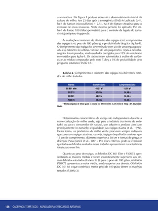 136
As avaliações constaram do diâmetro das espigas (cm), comprimento
das espigas (cm), peso de 100 grãos (g) e produtividade de grãos (kg ha-1).
O comprimento das espigas foi determinado com uso de uma régua gradu-
ada e o diâmetro foi obtido com uso de um paquímetro. Após a debulha,
os grãos foram pesados, sendo os dados corrigidos para 13% de umidade e
convertidos para kg ha-1. Os dados foram submetidos à análise de variân-
cia e as médias comparadas pelo teste Tukey a 5% de probabilidade pelo
programa estatístico SAEG 9.1.
* Médias seguidas de letras iguais na coluna não diferem entre si pelo teste de Tukey a 5% de probabi-
lidade.
Tabela 2. Comprimento e diâmetro das espigas nos diferentes híbri-
dos de milho testados.
Híbrido Diâmetro (cm) Comprimento (cm)
DG 601 elite 49,27 a* 15,59 a*
DG 213 47,69 a 14,88 a
DG 501 48,01 a 14,53 a
P30K75 49,23 a 15,30 a
CADERNOS TEMÁTICOS - AGRICULTURA E RECURSOS NATURAIS
Determinadas características da espiga são indispensáveis durante a
comercialização de milho verde, seja para a indústria (na forma de enla-
tado) ou para o consumidor (in natura), que adquire o produto com base
principalmente no tamanho e qualidade das espigas (Gama et al., 1992).
Desta forma, os produtores de milho verde procuram sempre cultivares
que possuam espigas atrativas, ou seja, espigas despalhadas maiores que
15 cm de comprimento, diâmetro superior a 30 cm e isentas de pragas e
doenças (Paiva Júnior et al., 2001). Por esses critérios, pode-se constatar
que todos os híbridos avaliados nesse trabalho apresentaram características
ideais para esse fim.
Quanto ao peso de espigas, os híbridos DG 601 Elite e P30K75 apre-
sentaram as maiores médias e foram estatisticamente superiores aos de-
mais híbridos estudados (Tabela 3). Já para o peso de 100 grãos, o híbrido
P30K75 apresentou a maior média, sendo superior aos demais. O híbrido
DG 501 foi o que conferiu o menor peso de 100 grãos dentre os matérias
testados (Tabela 3).
a semeadura. Na Figura 1 pode-se observar o desenvolvimento inicial da
cultura do milho. Aos 25 dias após a emergência (DAE) foi aplicado 0,4 L
ha-1 de Sanson (nicossulfuron) + 2,5 L ha-1 de Siptran (Atrazina) para o
controle de ervas invasoras. Neste mesmo período foi aplicado 150 mL
ha-1 de Fastac 100 (Alfacypermetrin) para o controle da lagarta do cartu-
cho (Spodoptera frugiperda).
 
