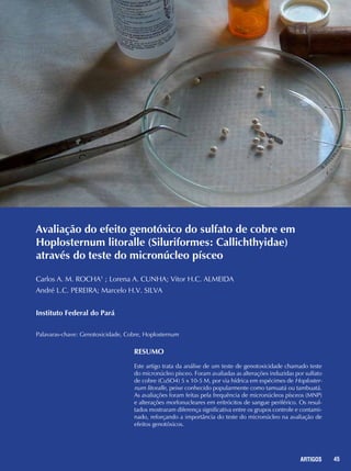 45REPORTAGENS 45ARTIGOS
Avaliação do efeito genotóxico do sulfato de cobre em
Hoplosternum litoralle (Siluriformes: Callichthyidae)
através do teste do micronúcleo písceo
Carlos A. M. ROCHA1
; Lorena A. CUNHA; Vitor H.C. ALMEIDA
André L.C. PEREIRA; Marcelo H.V. SILVA
Instituto Federal do Pará
Palavaras-chave: Genotoxicidade, Cobre, Hoplosternum
RESUMO
Este artigo trata da análise de um teste de genotoxicidade chamado teste
do micronúcleo písceo. Foram avaliadas as alterações induzidas por sulfato
de cobre (CuSO4) 5 x 10-5 M, por via hídrica em espécimes de Hoploster-
num litoralle, peixe conhecido popularmente como tamuatá ou tambuatá.
As avaliações foram feitas pela frequência de micronúcleos písceos (MNP)
e alterações morfonucleares em eritrócitos de sangue periférico. Os resul-
tados mostraram diferença significativa entre os grupos controle e contami-
nado, reforçando a importância do teste do micronúcleo na avaliação de
efeitos genotóxicos.
 
