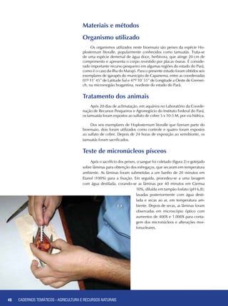 48 CADERNOS TEMÁTICOS - AGRICULTURA E RECURSOS NATURAIS48
Materiais e métodos
Organismo utilizado
Os organismos utilizados neste bioensaio são peixes da espécie Ho-
plosternum litoralle, popularmente conhecidos como tamuatás. Trata-se
de uma espécie demersal de água doce, herbívora, que atinge 20 cm de
comprimento e apresenta o corpo revestido por placas ósseas. É conside-
rado importante recurso pesqueiro em algumas regiões do estado do Pará,
como é o caso da ilha do Marajó. Para o presente estudo foram obtidos seis
exemplares de igarapés do município de Capanema, entre as coordenadas
01º 11’ 45” de Latitude Sul e 47º 10’ 51” de Longitude a Oeste de Grenwi-
ch, na microrregião bragantina, nordeste do estado do Pará.
Tratamento dos animais
Após 20 dias de aclimatação, em aquários no Laboratório da Coorde-
nação de Recursos Pesqueiros e Agronegócio do Instituto Federal do Pará,
os tamuatás foram expostos ao sulfato de cobre 5 x 10-5 M, por via hídrica.
Dos seis exemplares de Hoplosternum litoralle que fizeram parte do
bioensaio, dois foram utilizados como controle e quatro foram expostos
ao sulfato de cobre. Depois de 24 horas de exposição ao xenobionte, os
tamuatás foram sacrificados.
Teste de micronúcleos písceos
Após o sacrifício dos peixes, o sangue foi coletado (figura 2) e gotejado
sobre lâminas para obtenção dos esfregaços, que secaram em temperatura
ambiente. As lâminas foram submetidas a um banho de 20 minutos em
Etanol (100%) para a fixação. Em seguida, procedeu-se a uma lavagem
com água destilada, corando-se as lâminas por 40 minutos em Giemsa
10%, diluída em tampão fosfato (pH 6,8);
lavadas posteriormente com água desti-
lada e secas ao ar, em temperatura am-
biente. Depois de secas, as lâminas foram
observadas em microscópio óptico com
aumentos de 400X e 1.000X para conta-
gem dos micronúcleos e alterações mor-
fonucleares.
CADERNOS TEMÁTICOS - AGRICULTURA E RECURSOS NATURAIS
 