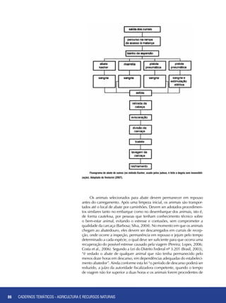 86 CADERNOS TEMÁTICOS - AGRICULTURA E RECURSOS NATURAIS86
Os animais selecionados para abate devem permanecer em repouso
antes do carregamento. Após uma limpeza inicial, os animais são transpor-
tados até o local de abate por caminhões. Devem ser adotados procedimen-
tos similares tanto no embarque como no desembarque dos animais, isto é,
de forma cautelosa, por pessoas que tenham conhecimento técnico sobre
o bem-estar animal, evitando o estresse e contusões, sem comprometer a
qualidade da carcaça (Barbosa; Silva, 2004). No momento em que os animais
chegam ao abatedouro, eles devem ser descarregados em currais de recep-
ção, onde ocorre a inspeção, permanência em repouso e jejum pelo tempo
determinado a cada espécie, o qual deve ser suficiente para que ocorra uma
recuperação do possível estresse causado pela viagem (Pereira; Lopes, 2006;
Costa et al., 2006). Segundo a Lei do Distrito Federal nº 3.201 (Brasil, 2003),
“é vedado o abate de qualquer animal que não tenha permanecido pelo
menos doze horas em descanso, em dependências adequadas do estabeleci-
mento abatedor”. Ainda conforme esta lei “o período de descanso poderá ser
reduzido, a juízo da autoridade fiscalizadora competente, quando o tempo
de viagem não for superior a duas horas e os animais forem procedentes de
Fluxograma de abate de suínos (no método Kasher, usado pelos judeus, é feito a degola sem insensibili-
zação). Adaptado de Venturini (2007).
CADERNOS TEMÁTICOS - AGRICULTURA E RECURSOS NATURAIS
 