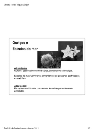 Cláudia Faria e Raquel Gaspar




         Ouriços e
         Estrelas do mar




           Alimentação:
           Ouriços: Essencialmente herbívoros, alimentando-se de algas.

           Estrelas-do-mar: Carnívoros; alimentam-se de pequenos gastrópodes
           e mexilhões


           Adaptações:
           Redução da actividade; prendem-se às rochas para não serem
           arrastados




Pavilhão do Conhecimento Janeiro 2011                                          10
 