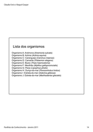Cláudia Faria e Raquel Gaspar




          Lista dos organismos
         Organismo A: Anémona (Anemonia sulcata)
         Organismo B: Actinia (Actinia equina)
         Organismo C: Caranguejo (Carcinus maenas)
         Organismo D: Camarão (Palaemon elegans)
         Organismo E: Búzio (Thais haemostoma)
         Organismo F: Mexilhão (Mytillus galloprovincialis)
         Organismo G: Peixe (Lipophrys pholis)
         Organismo H: Ouriço-do-mar (Paracentrotus lividus)
         Organismo I: Estrela-do-mar (Asterina gibbosa)
         Organismo J: Estrela-do-mar (Marthasterias glacialis)




Pavilhão do Conhecimento Janeiro 2011                            14
 