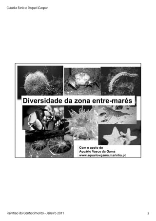 Cláudia Faria e Raquel Gaspar




           Diversidade da zona entre-marés




                                        Com o apoio do
                                        Aquário Vasco da Gama
                                        www.aquariovgama.marinha.pt




Pavilhão do Conhecimento Janeiro 2011                                 2
 