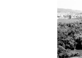 Nova Centralidade Urbana em Pouso Alegre-MG