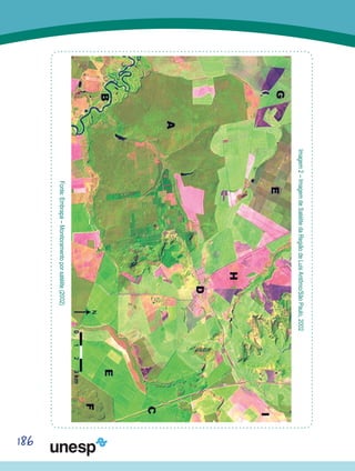 186
Imagem2–ImagemdeSatélitedaRegiãodeLuísAntônio/SãoPaulo,2002
Fonte:Embrapa–Monitoramentoporsatélite(2002)
 