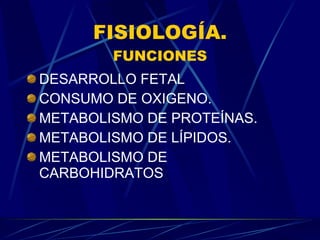 FISIOLOGÍA. FUNCIONES DESARROLLO FETAL CONSUMO DE OXIGENO. METABOLISMO DE PROTEÍNAS. METABOLISMO DE LÍPIDOS. METABOLISMO DE CARBOHIDRATOS 