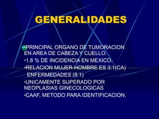GENERALIDADES PRINCIPAL ORGANO DE TUMORACION EN AREA DE CABEZA Y CUELLO. 1.8 % DE INCIDENCIA EN MEXICO. RELACION MUJER-HOMBRE ES 3:1(CA) ENFERMEDADES (8:1) UNICAMENTE SUPERADO POR NEOPLASIAS GINECOLOGICAS CAAF, METODO PARA IDENTIFICACION. 