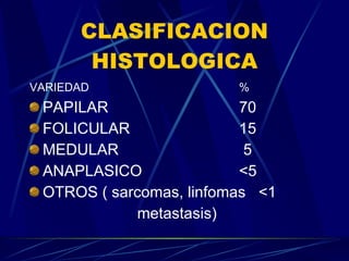 CLASIFICACION HISTOLOGICA VARIEDAD % PAPILAR 70 FOLICULAR 15 MEDULAR  5 ANAPLASICO <5 OTROS ( sarcomas, linfomas  <1 metastasis) 