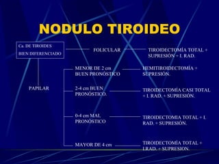 NODULO TIROIDEO Ca. DE TIROIDES BIEN DIFERENCIADO FOLICULAR TIROIDECTOMÍA TOTAL + SUPRESIÓN + I. RAD. PAPILAR MENOR DE 2 cm BUEN PRONÓSTICO HEMITIROIDECTOMÍA + SUPRESIÓN. 2-4 cm BUEN PRONÓSTICO. TIROIDECTOMÍA CASI TOTAL + I. RAD. + SUPRESIÓN. 0-4 cm MAL PRONÓSTICO TIROIDECTOMIA TOTAL + I. RAD. + SUPRESIÓN. MAYOR DE 4 cm  TIROIDECTOMÍA TOTAL + I.RAD. + SUPRESION. 