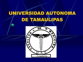 UNIVERSIDAD AUTONOMA DE TAMAULIPAS 
