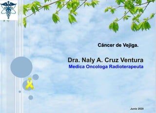 Cáncer de Vejiga.
Dra. Naly A. Cruz Ventura
Medica Oncologa Radioterapeuta
Junio 2020
 