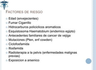FACTORES DE RIESGO
 Edad (envejecientes)
 Fumar Cigarrillo
 Hidrocarburos policiclicos aromaticos
 Esquistosoma Haemat...