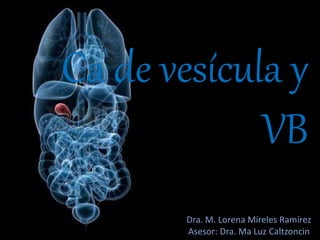 Ca de vesícula y
VB
Dra. M. Lorena Mireles Ramírez
Asesor: Dra. Ma Luz Caltzoncin
 