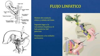 Nódulo del conducto
cístico y nódulo del hiato
Segundo lugar a la
vasculatura hepática y el
lado posterior del
páncreas
Finalmente a los nódulos
aortocavos
 